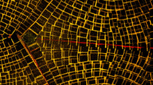 "We're Going the Wrong Way" by Bruce Orr, PhotoArt on Paper