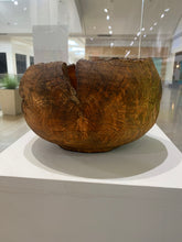 Juniper by Dave Bishop, Wooden Sculpture