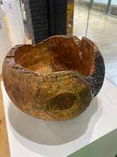 Juniper by Dave Bishop, Wooden Sculpture