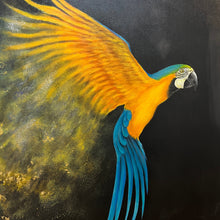 "Golden Flight" by Niloo Pariscari, Mixed Media on Canvas