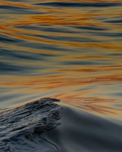 "Newport Liquid Gold" by Jenni Frase, Photograph on Fine Art Paper