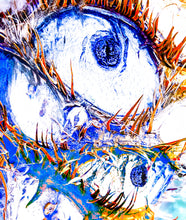 "Love Those Lashes" by by Bruce Orr, PhotoArt on Acrylic