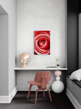 "Bella Rosa" by Debra Rose de Leo, Photograph on Canvas