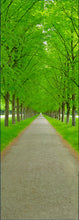"Enchanting Nature" by Christopher Franke, Photograph on Aluminum