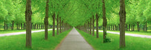 "Enchanting Nature II" by Christopher Franke, Photograph on Aluminum