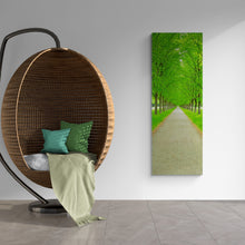 "Enchanting Nature" by Christopher Franke, Photograph on Aluminum