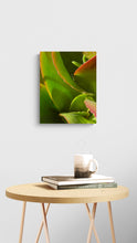 "Jungle Fever" by Debra Rose de Leo, Photograph on Canvas