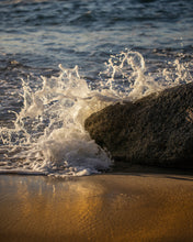 "Saltwater Web-Laguna Beach" by Jenni Frase, Photograph on Fine Art Paper
