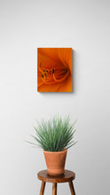 "Liliana" by Debra Rose de Leo, Photograph on Canvas