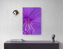 "Dancing Flower" by Debra Rose de Leo, Photograph on Canvas