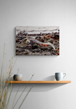 "The Iguana & The Crab" by Ellen Louise Photography, Photograph on Fine Art Paper