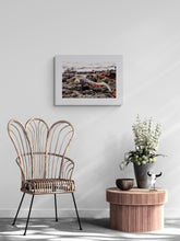 "The Iguana & The Crab" by Ellen Louise Photography, Photograph on Fine Art Paper