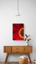"Sunburst" by Debra Rose de Leo, Photograph on Canvas