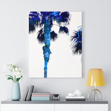 Palm Trees TV Blue Stretched Canvas