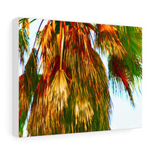 Palm Trees Beach Stretched Canvas
