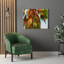 Palm Trees Beach Stretched Canvas