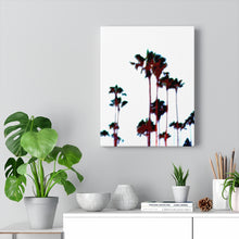 Palm Tree Stretched Canvas