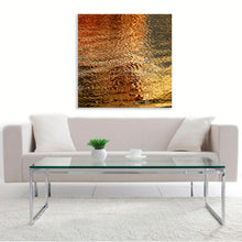 “Sunset 47” By Francisco Batista, Gallery Acrylic (1/4")