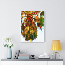 Palm Trees Beach Stretched Canvas