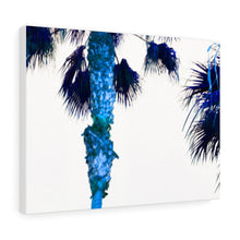 Palm Trees TV Blue Stretched Canvas