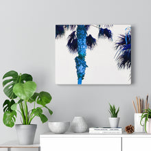Palm Trees TV Blue Stretched Canvas