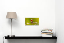 “Red Baron” By Mike Humphries, Metal Print