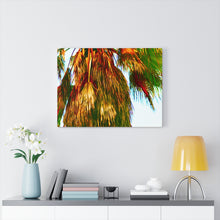 Palm Trees Beach Stretched Canvas