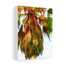 Palm Trees Beach Stretched Canvas