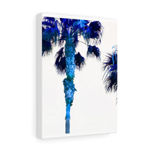 Palm Trees TV Blue Stretched Canvas