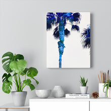 Palm Trees TV Blue Stretched Canvas