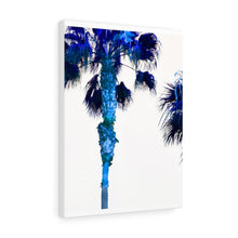 Palm Trees TV Blue Stretched Canvas