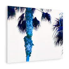 Palm Trees TV Blue Stretched Canvas