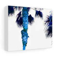 Palm Trees TV Blue Stretched Canvas