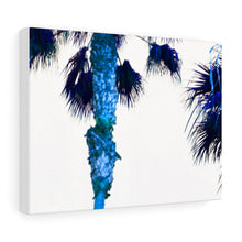 Palm Trees TV Blue Stretched Canvas