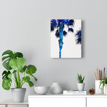 Palm Trees TV Blue Stretched Canvas