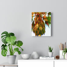 Palm Trees Beach Stretched Canvas