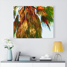 Palm Trees Beach Stretched Canvas