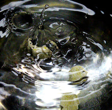 "Complex" by Fiona Araee, Photograph on Metal