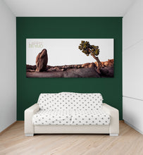"New Beginnings" By Larry Beard, Fine Art Aluminum