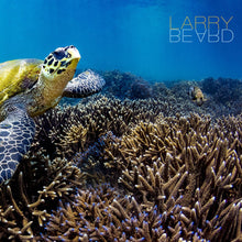 "Reefing Turtle" By Larry Beard, Fine Art Aluminum