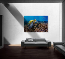 "Reefing Turtle" By Larry Beard, Fine Art Aluminum
