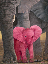 "Surprise" by Laura Curtin, Oils on Canvas
