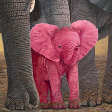 "Surprise" by Laura Curtin, Oils on Canvas
