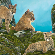"Cougar Ledge" by Laura Curtin, Oils on Canvas