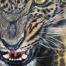 "Fierceness" by Thomas Ciccone, Colored Pencil on Paper