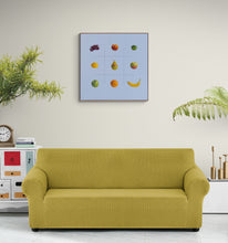 "Fruitopia" by Suzanne Howe, Oil on Linen