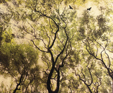 "Arboris Folium VIII" by Robert Pereira Hind, Gold Leaf Schlag Metal