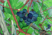“Harvest Time” By Sylvia Herrera, On Arches Watercolor Paper