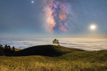 "Stellar" by Jared Weintraub, Photograph