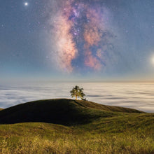 "Stellar" by Jared Weintraub, Photograph